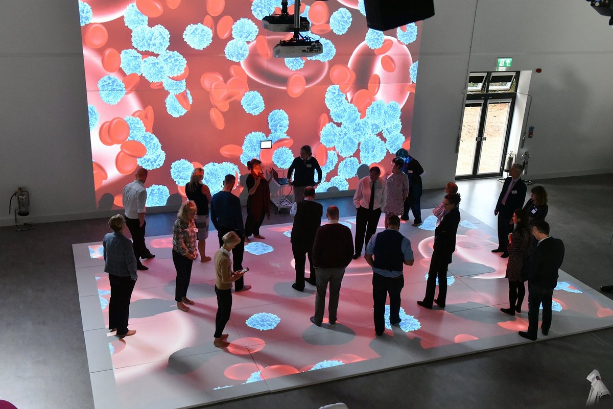 interactive walls